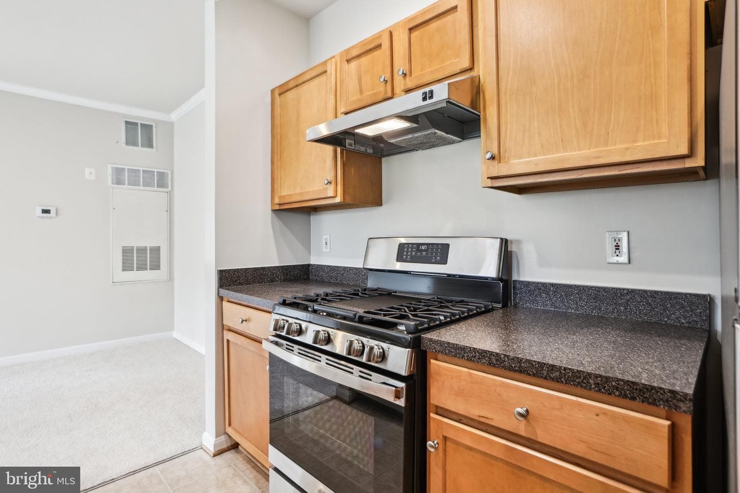 13329 Connor Drive #N photo 2
