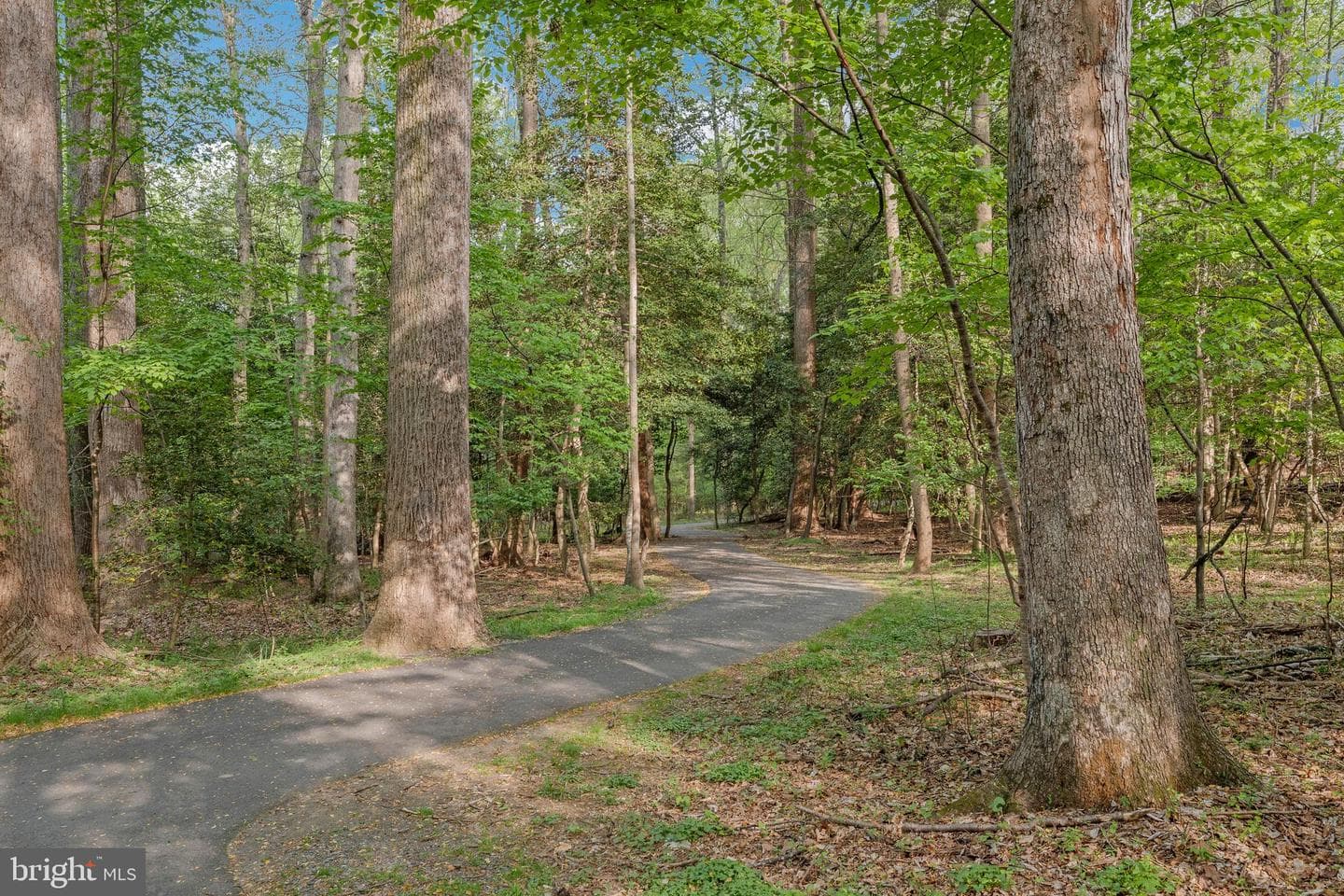 2310 Glade Bank Way photo 30