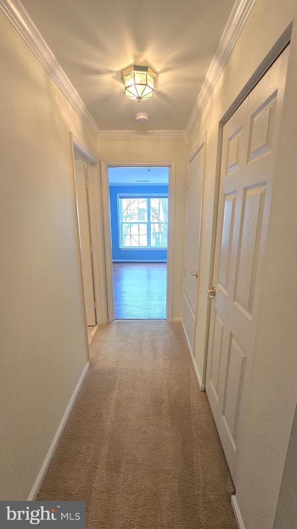 6601 Thackwell Way #3j photo 6