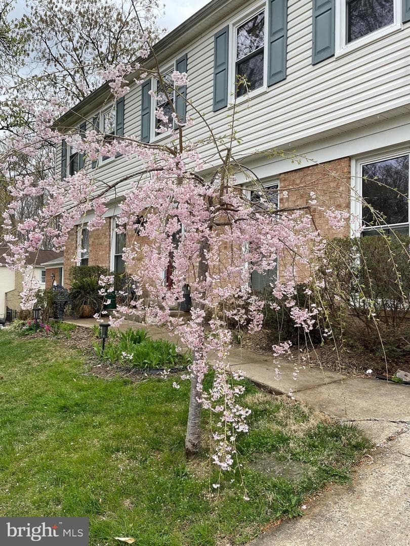 8729 Cuttermill Place photo 2