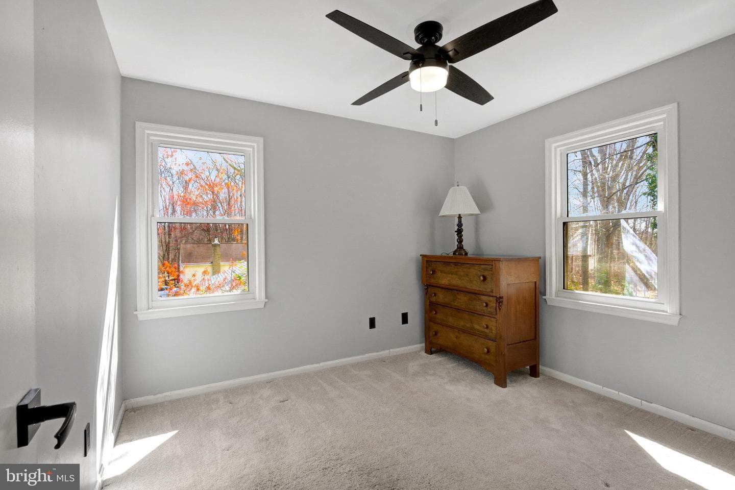 8729 Cuttermill Place photo 29