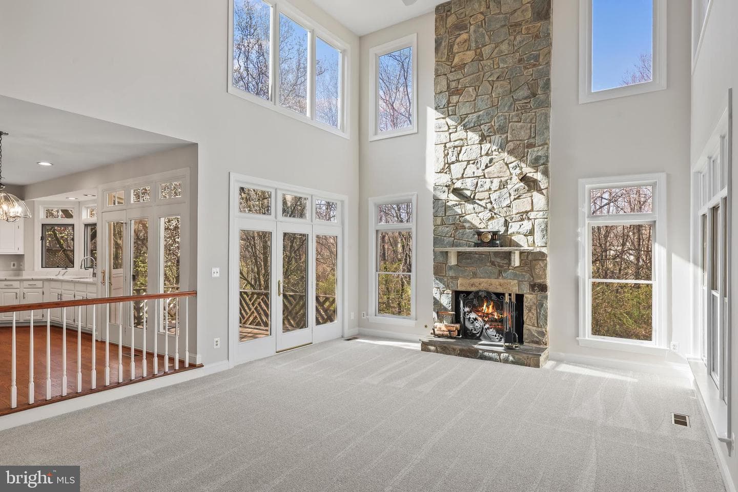 8158 Silverberry Way photo 19