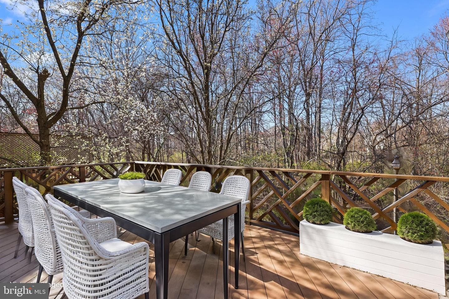 8158 Silverberry Way photo 25