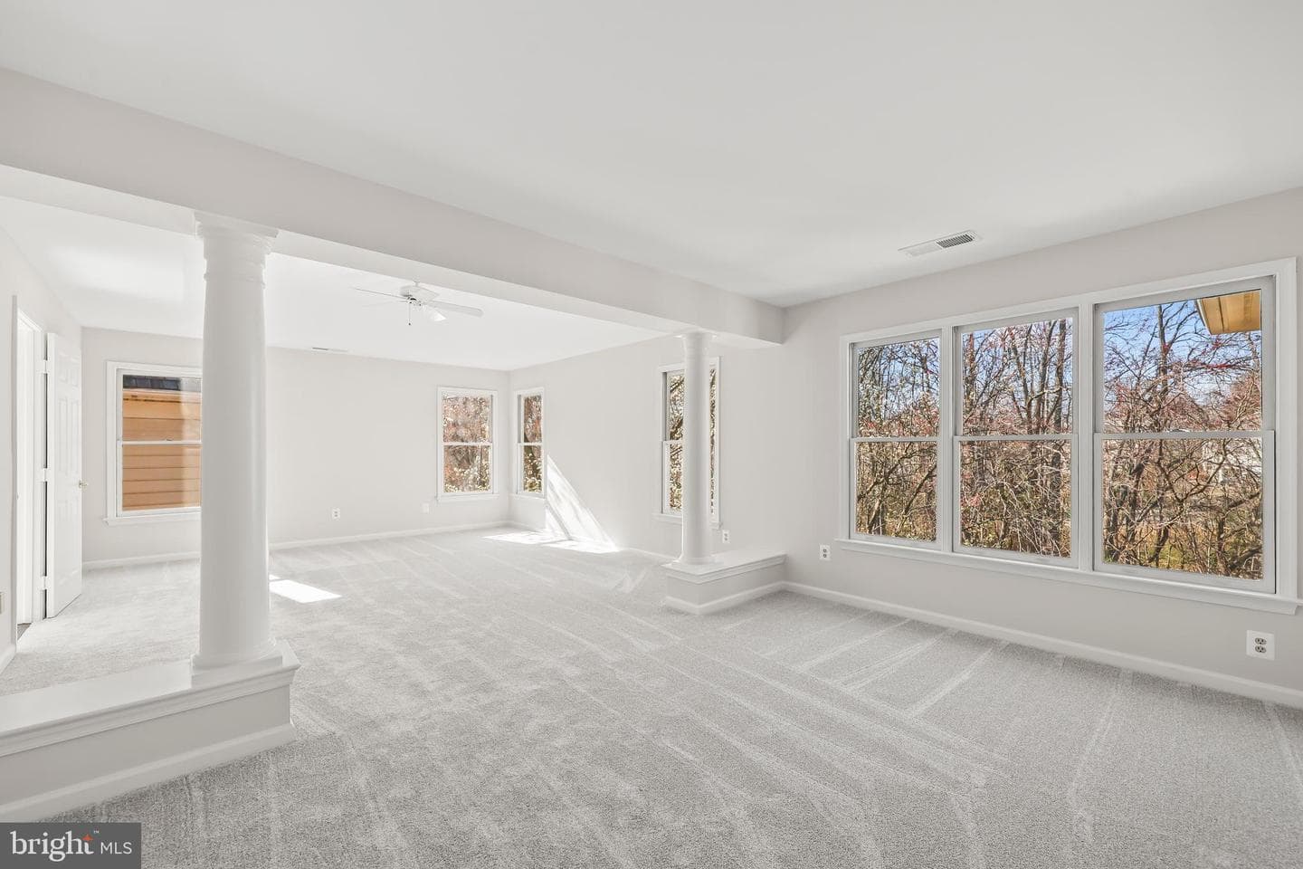 8158 Silverberry Way photo 35