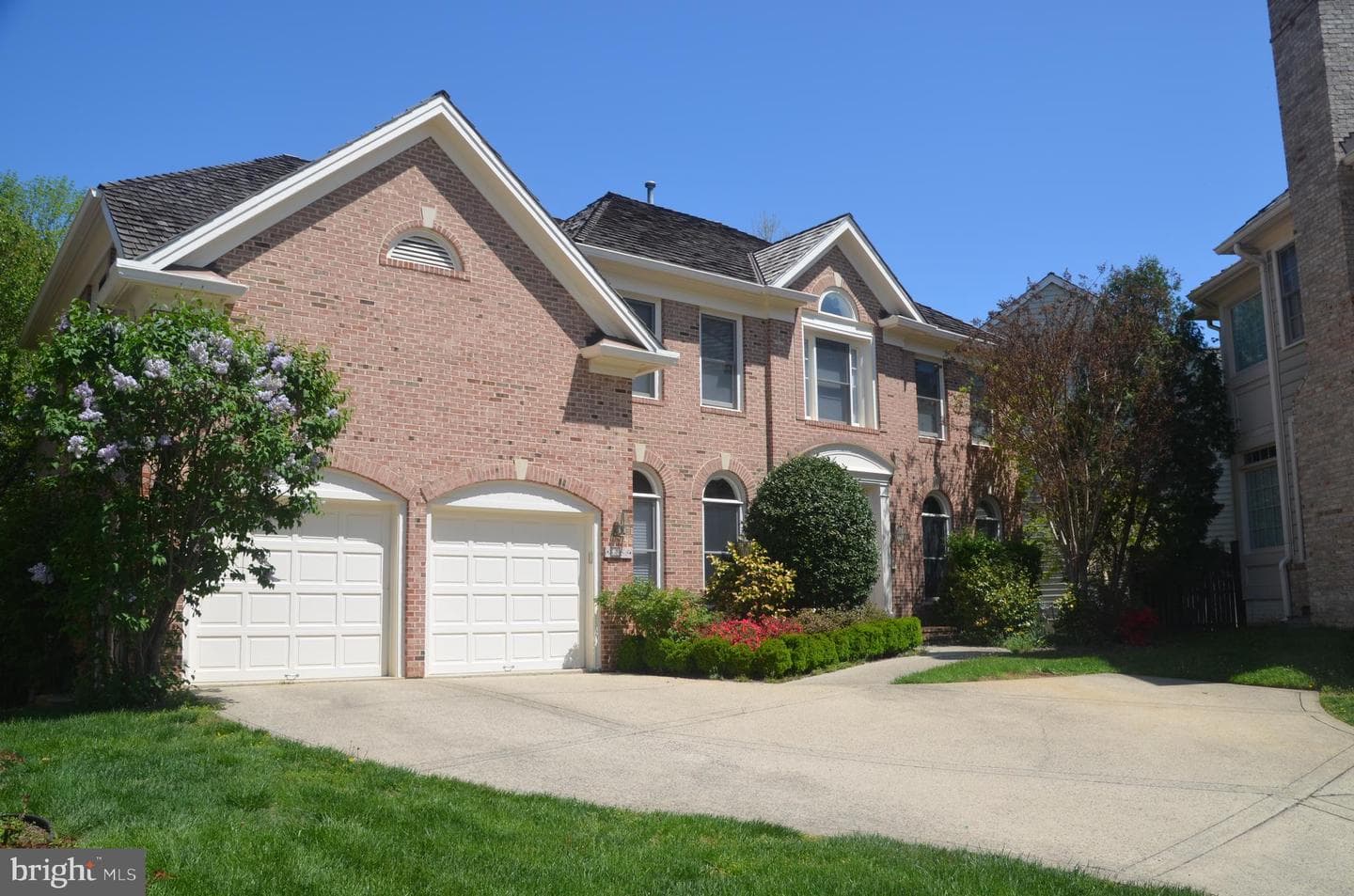 8158 Silverberry Way photo 4