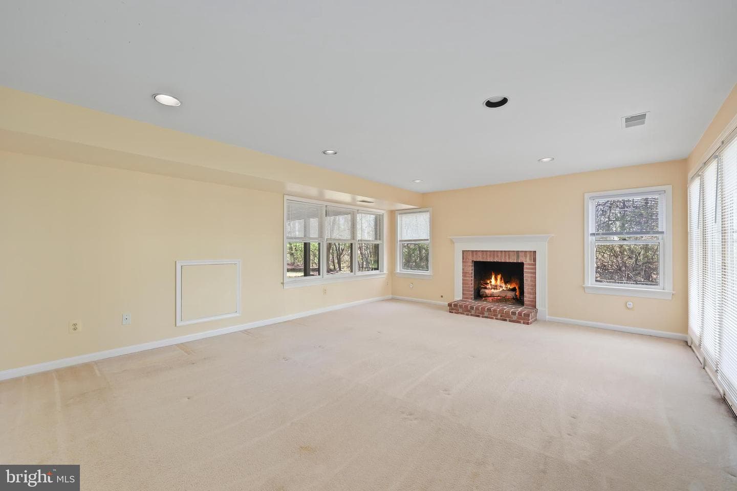 8158 Silverberry Way photo 61
