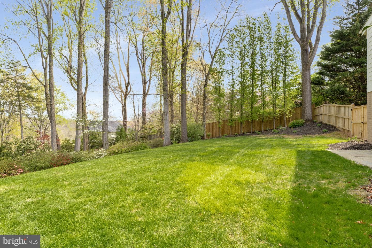 10226 Cedar Pond Drive photo 77