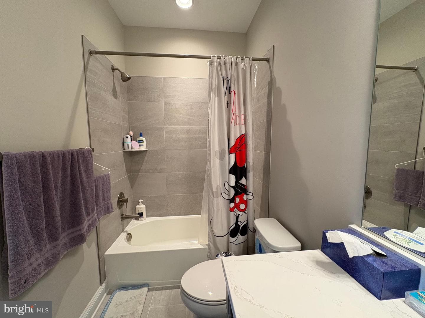 11039 Oakton View Drive photo 44