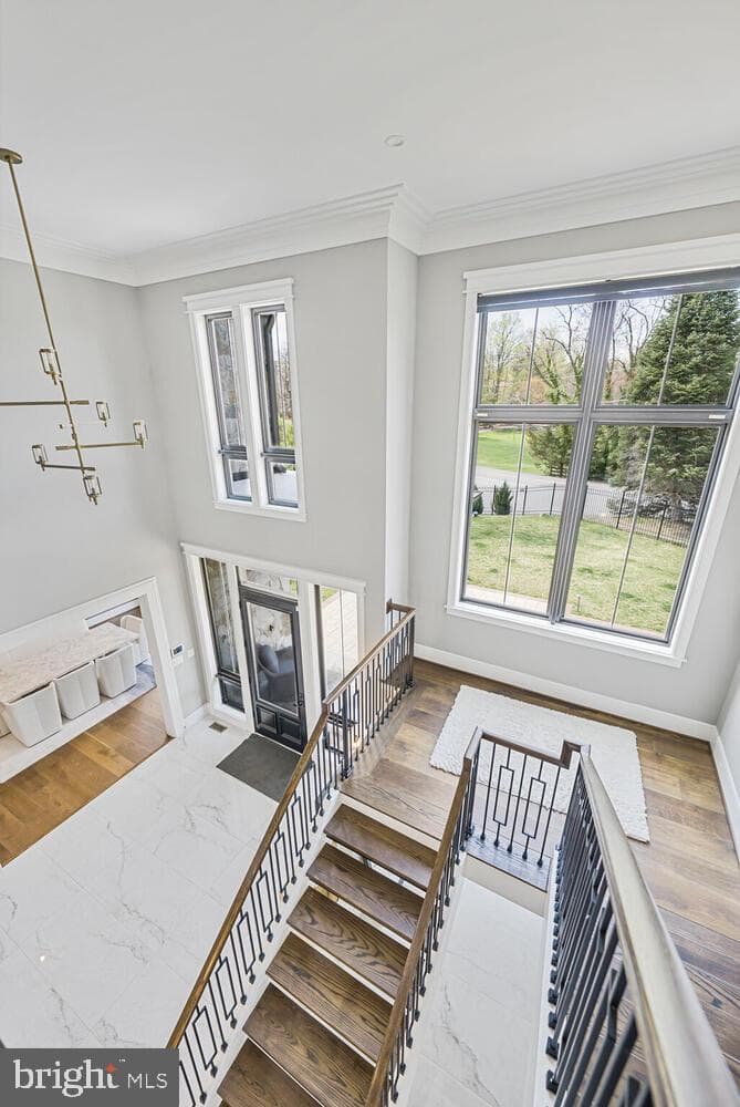 1109 Towlston Road photo 49