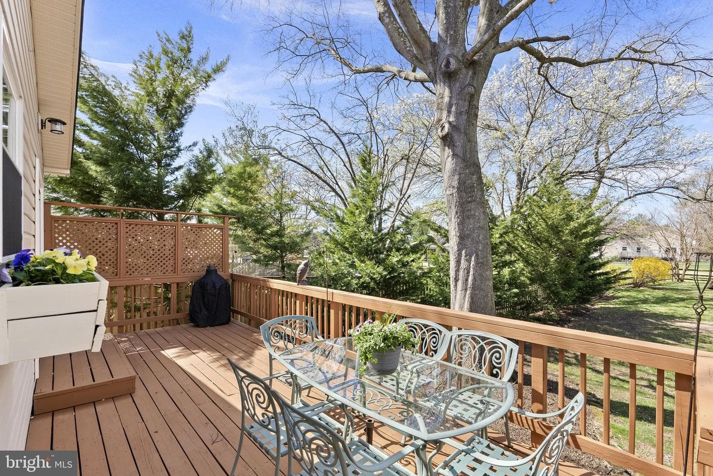 13908 Poplar Tree Road photo 65