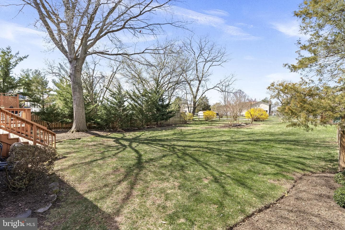 13908 Poplar Tree Road photo 73