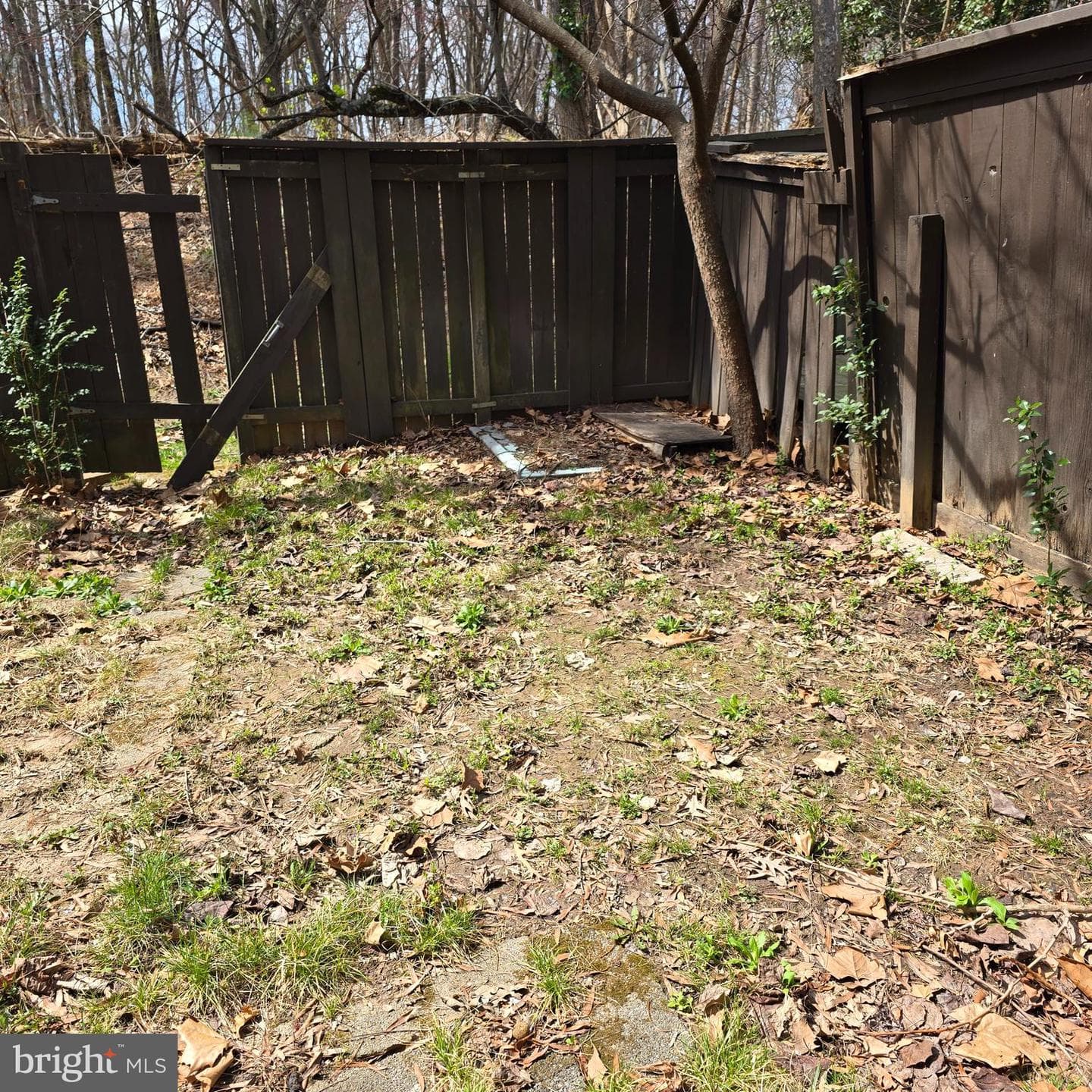 2362 Antiqua Court photo 20