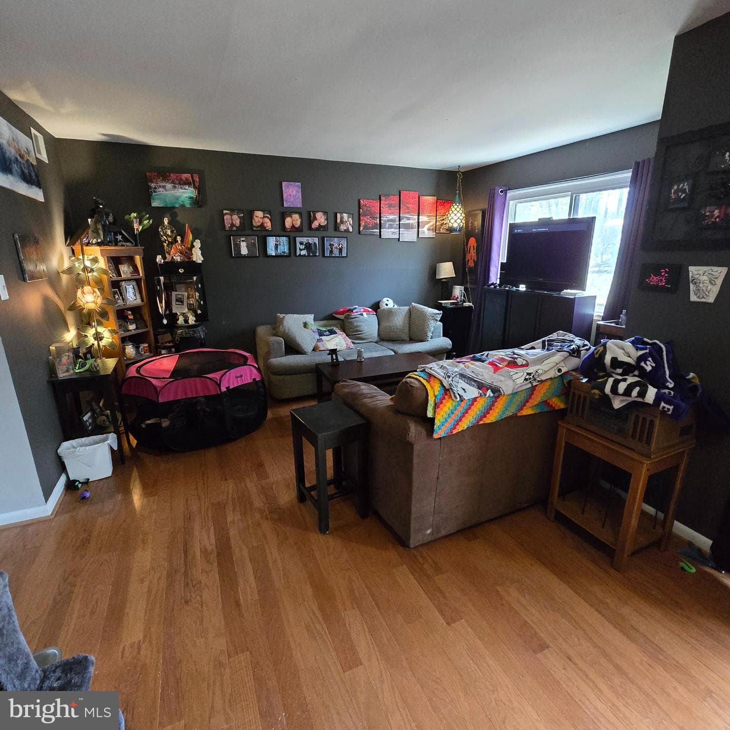 2362 Antiqua Court photo 5