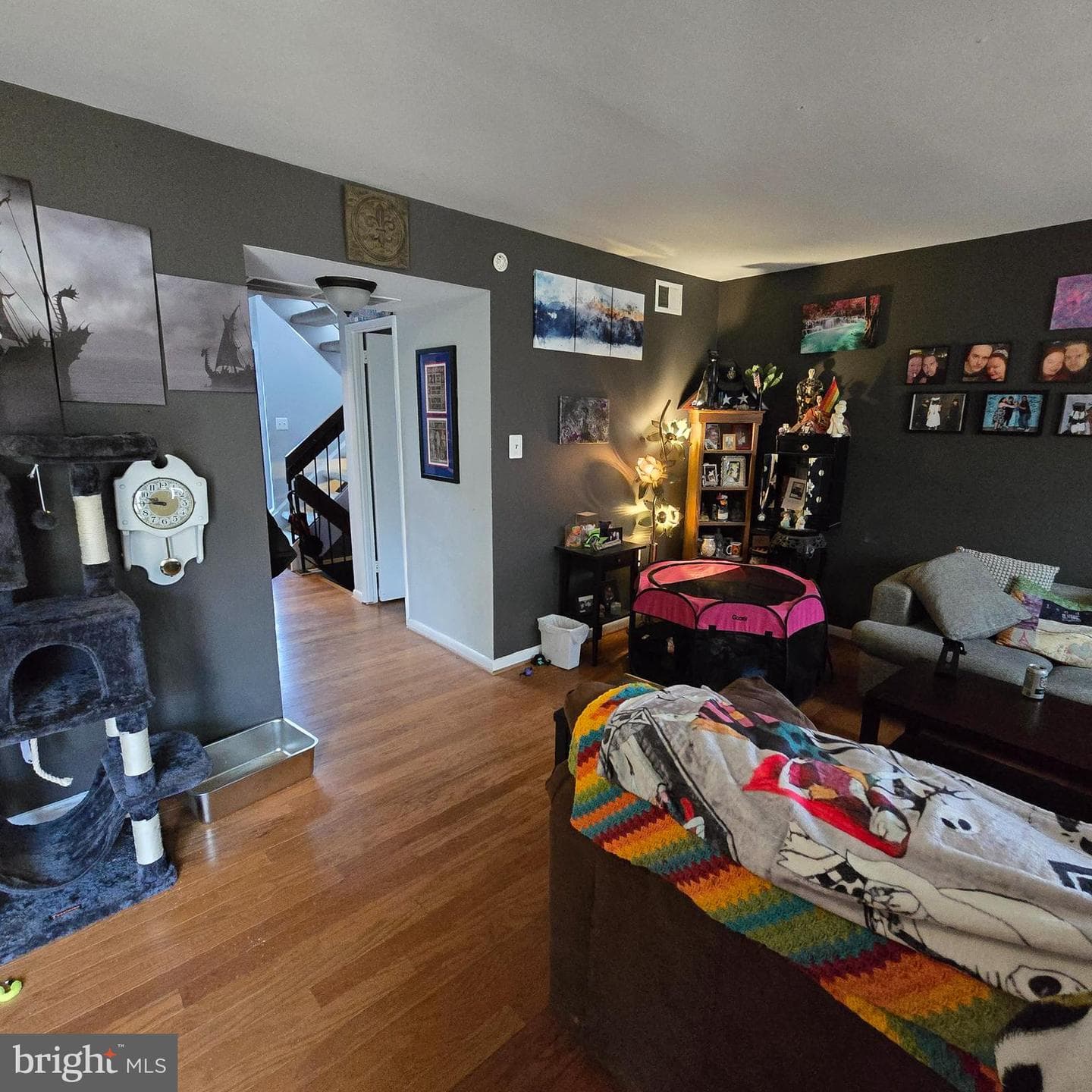 2362 Antiqua Court photo 6