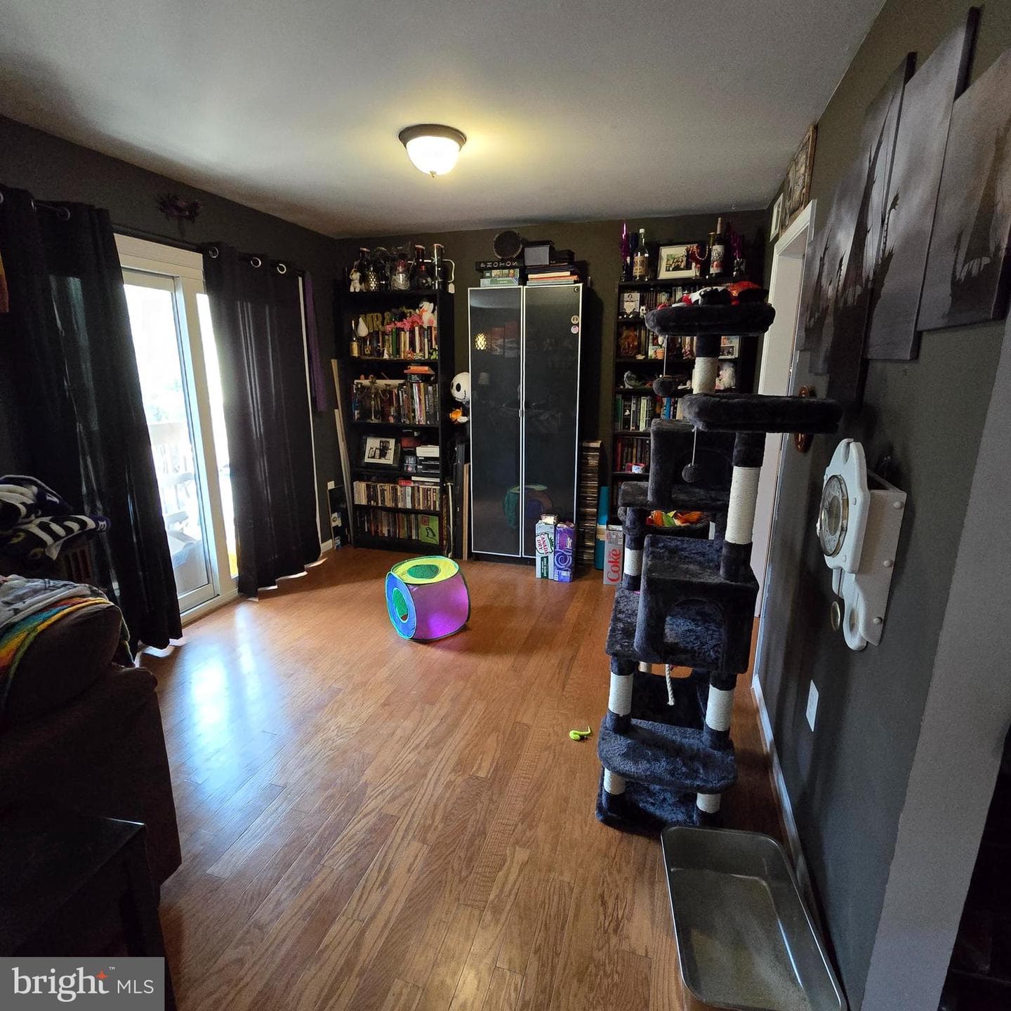 2362 Antiqua Court photo 7