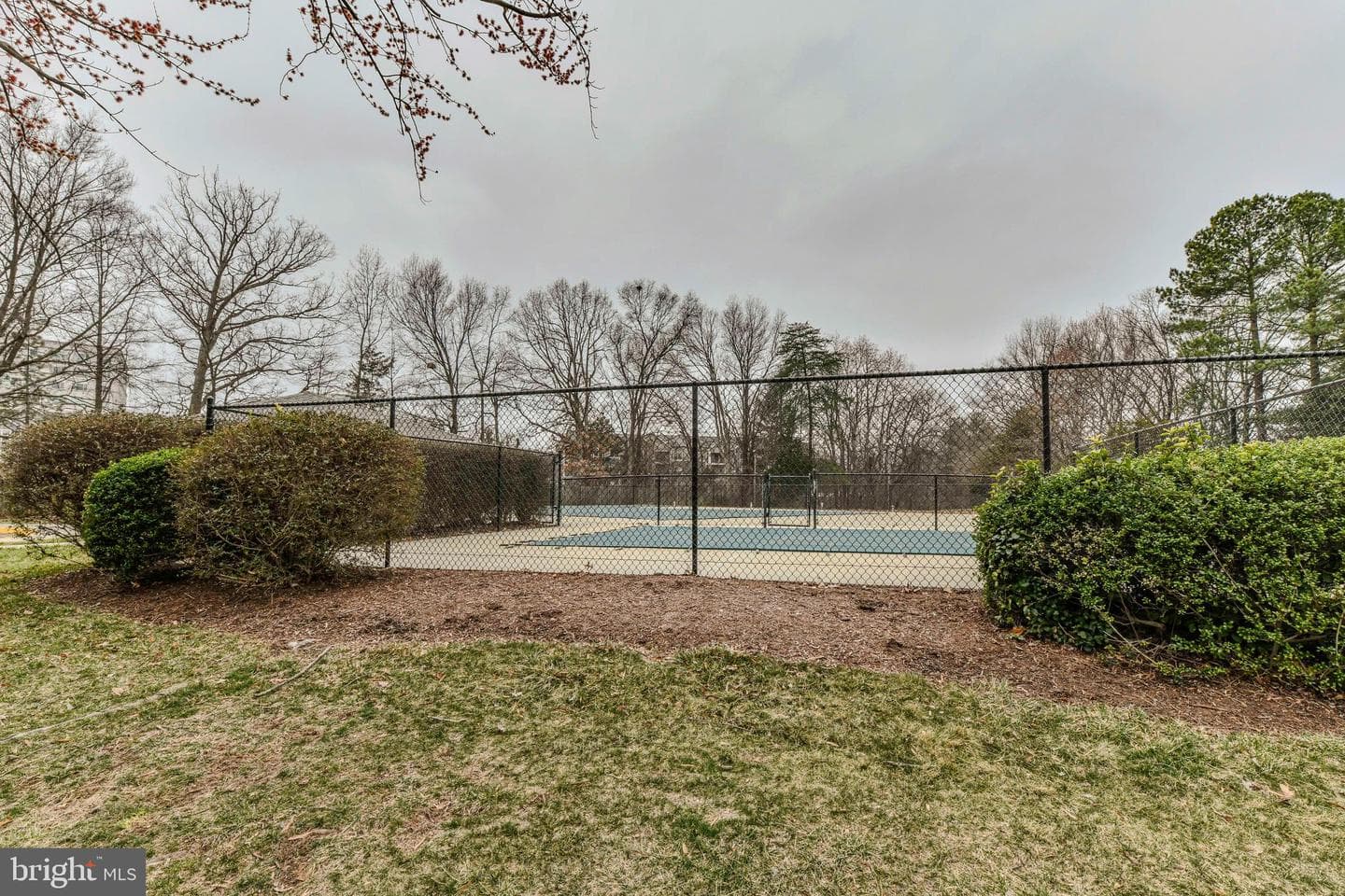 356 Juniper Court photo 40