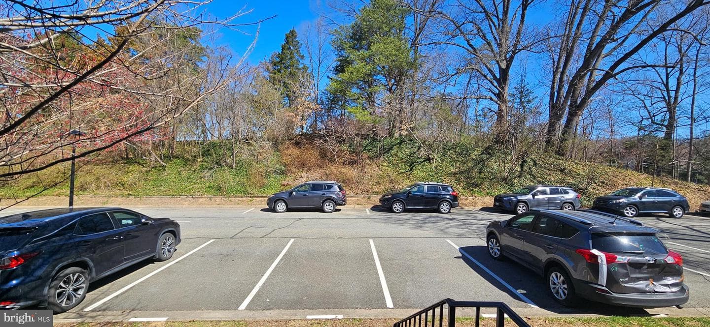 8210 Stationhouse Court photo 46