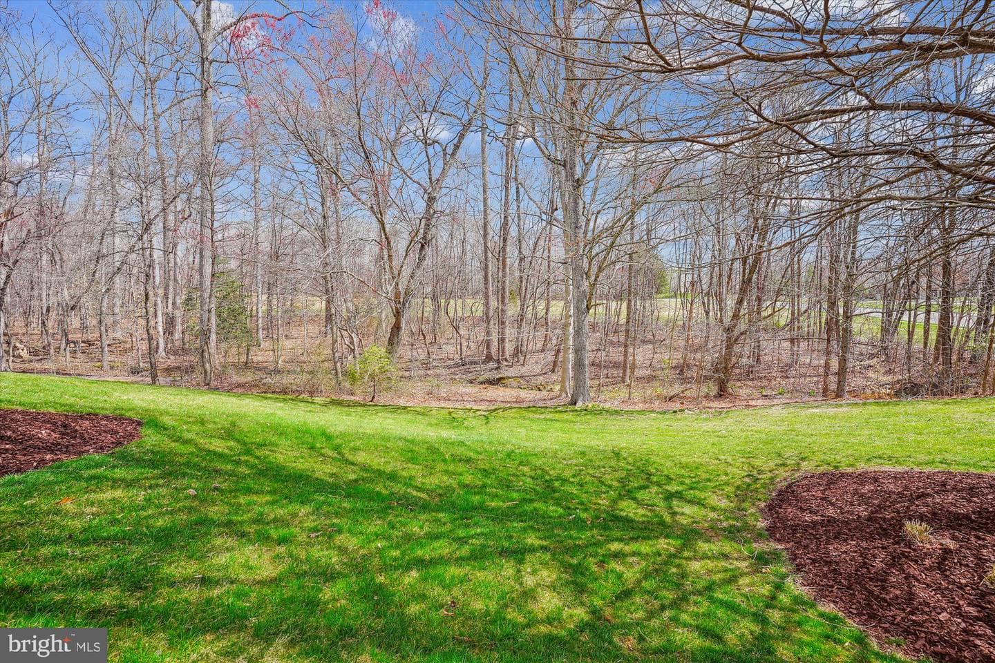 8535 Oak Chase Circle photo 53
