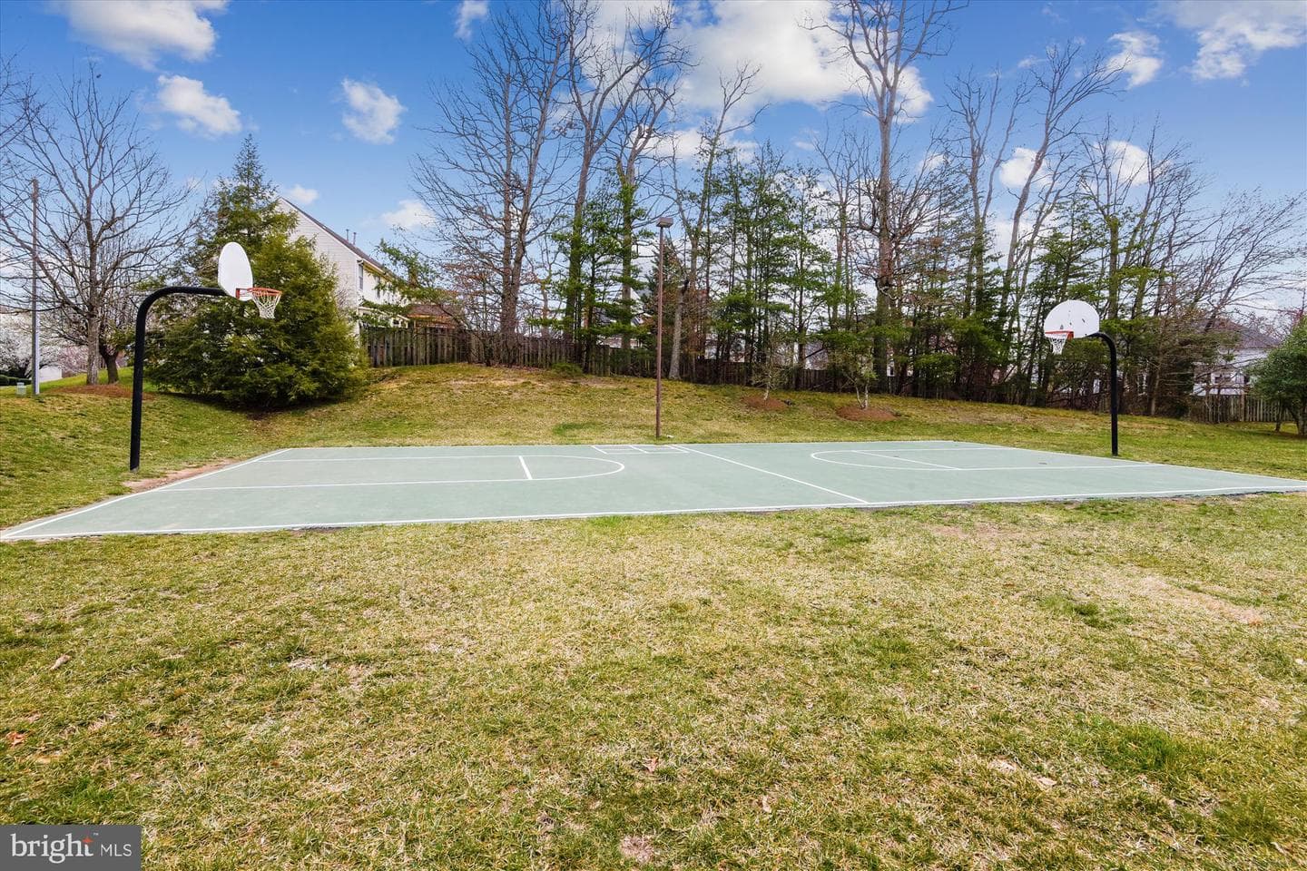 8535 Oak Chase Circle photo 58