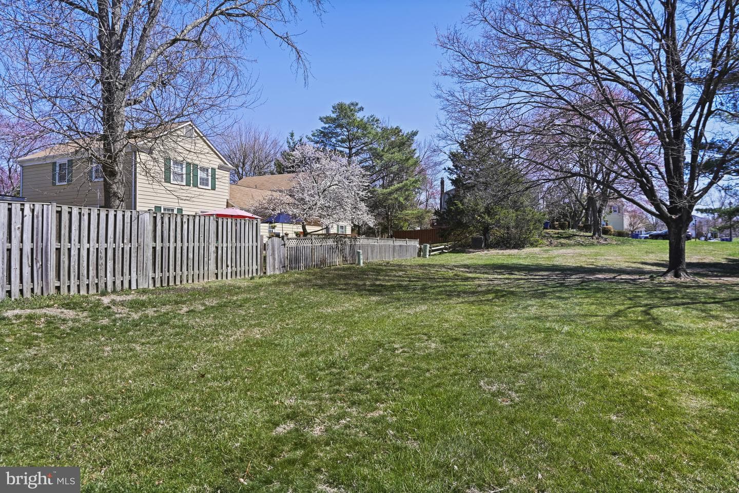 716 Palmer Drive photo 54