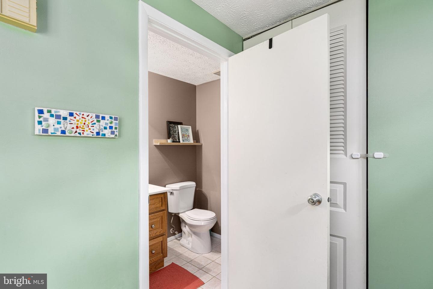 11537 Ivy Bush Court photo 18