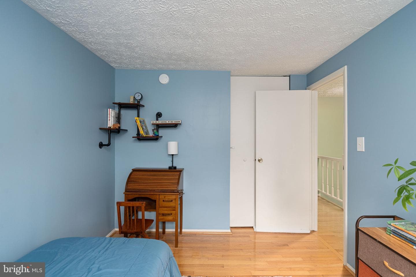 11537 Ivy Bush Court photo 27