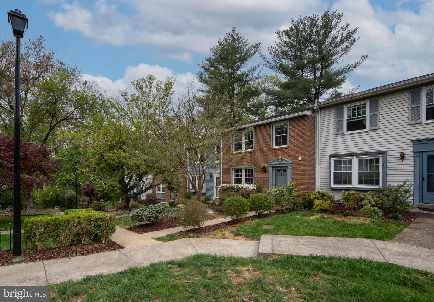 11537 Ivy Bush Court photo 4