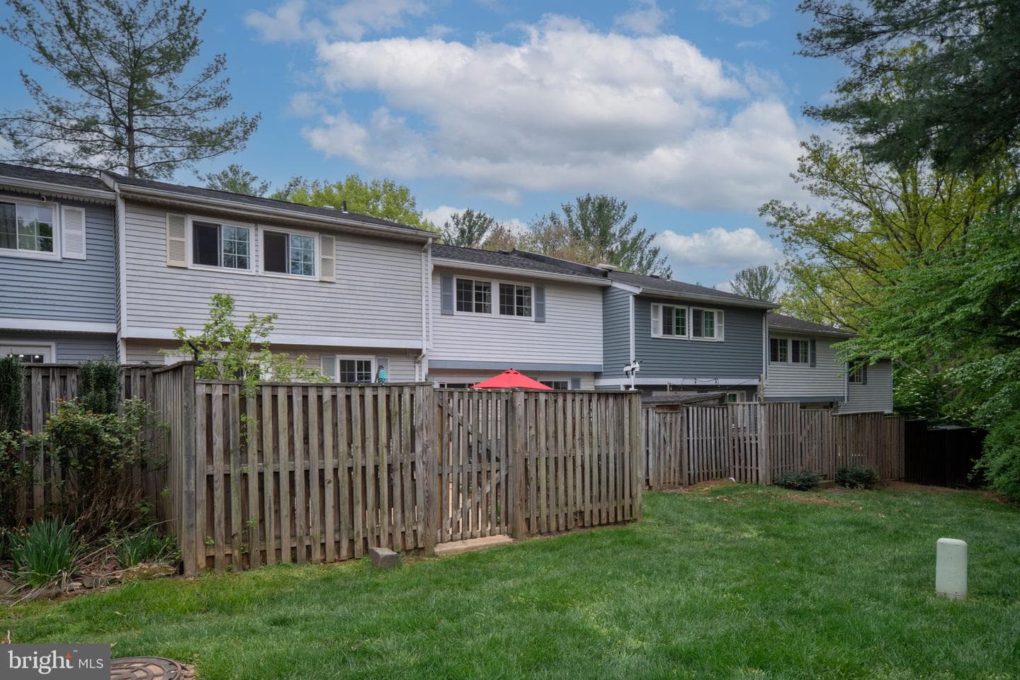 11537 Ivy Bush Court photo 42