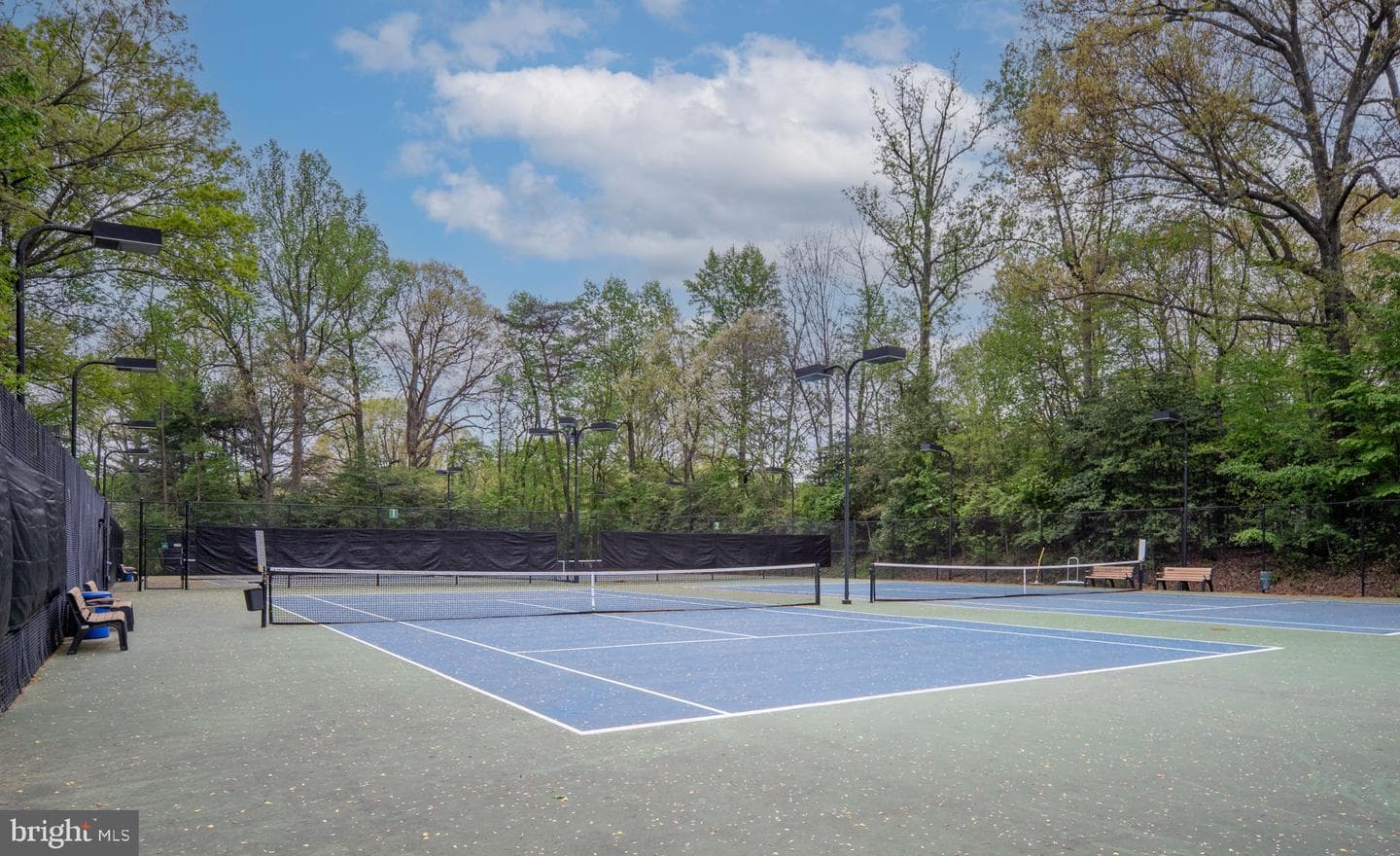 11537 Ivy Bush Court photo 48