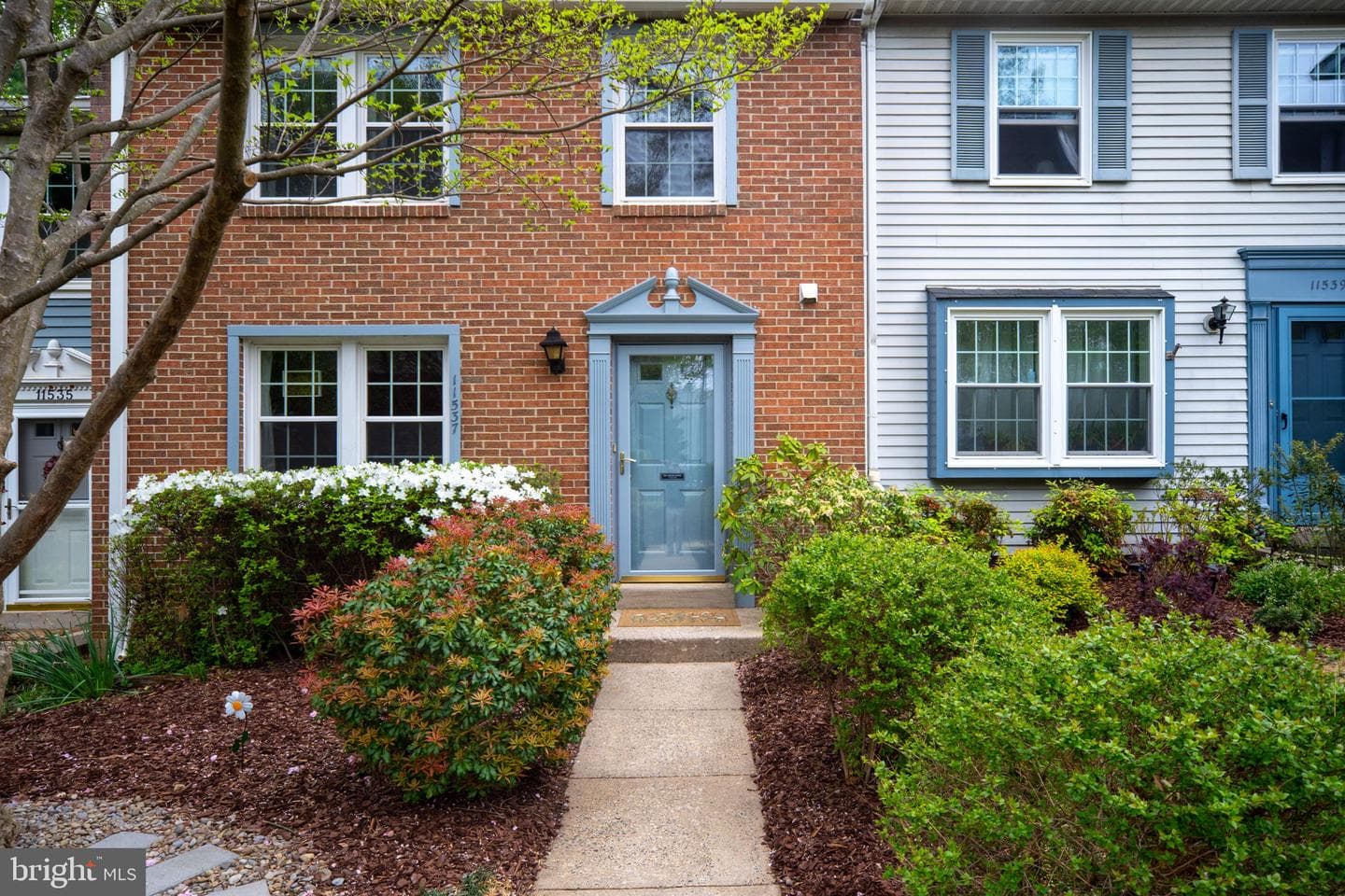 11537 Ivy Bush Court photo 5