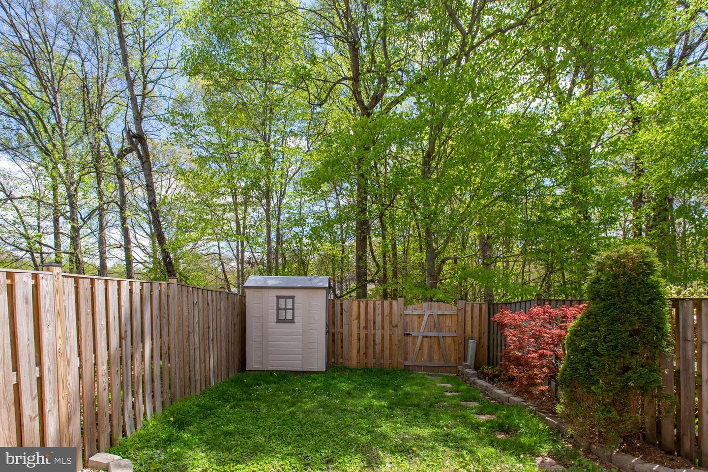8062 Steeple Chase Court photo 7