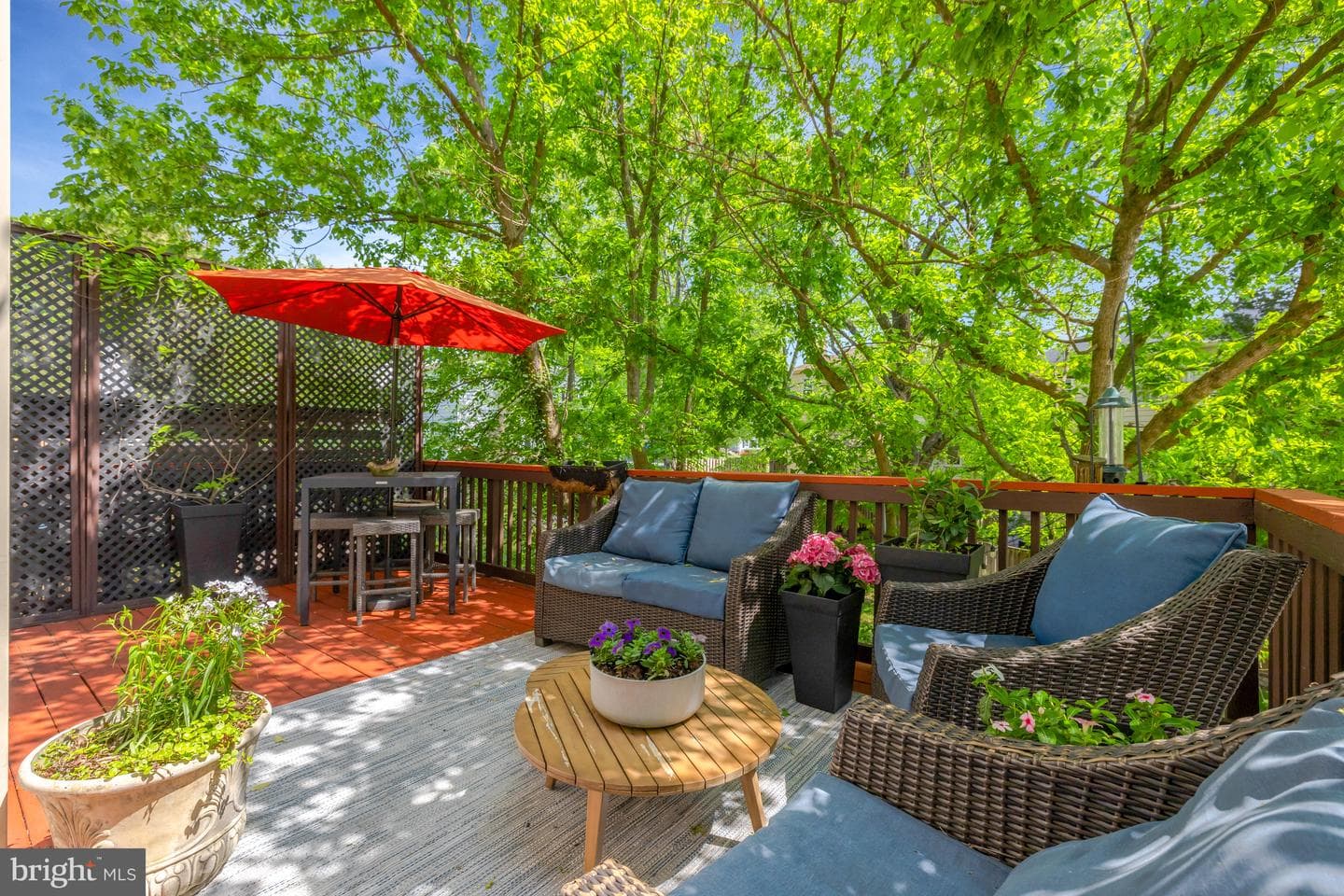 9857 Oakdale Woods Court photo 4