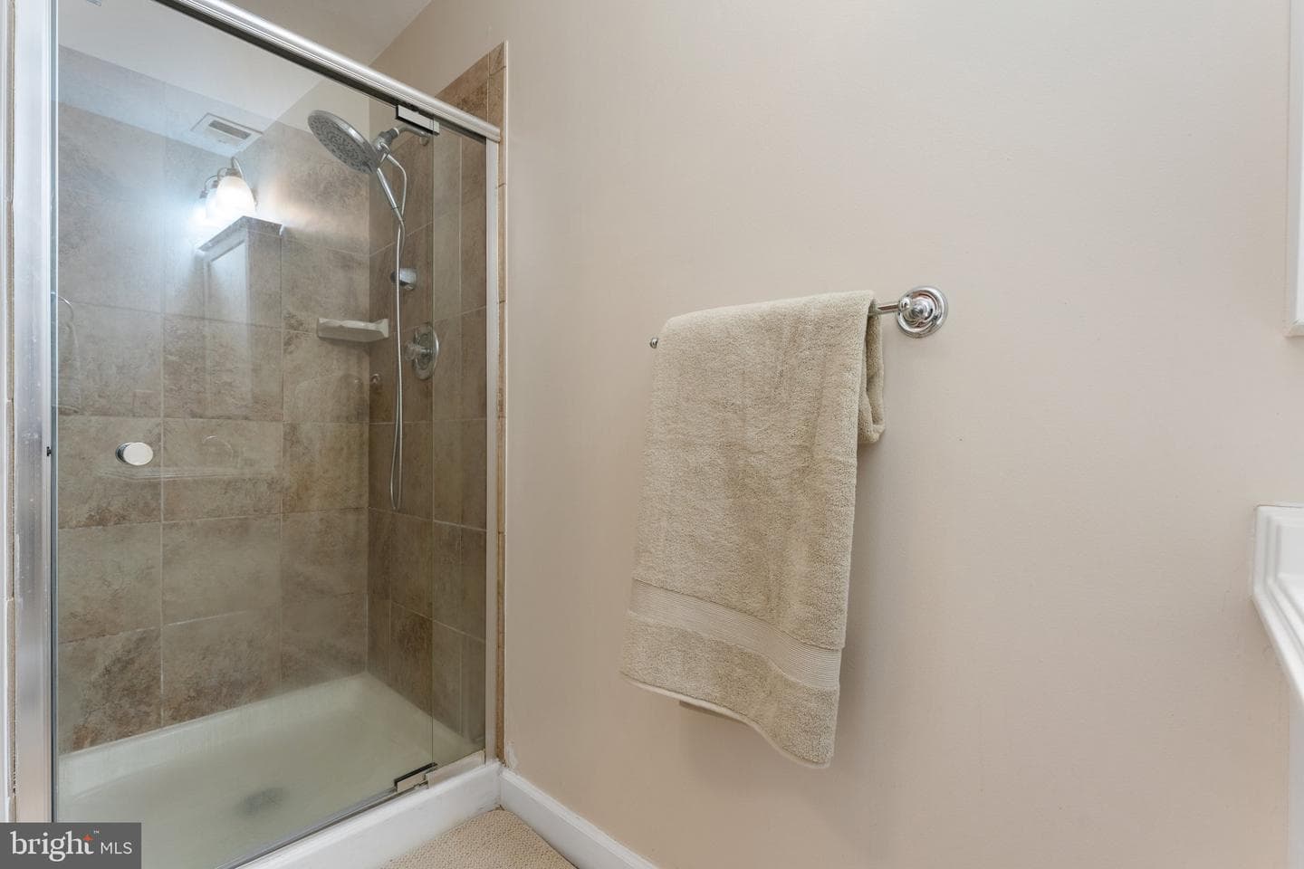 10336 Pond Spice Terrace photo 31