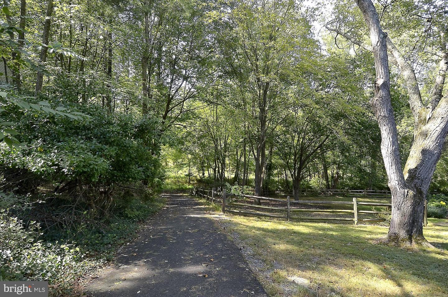1925 Villaridge Drive photo 28