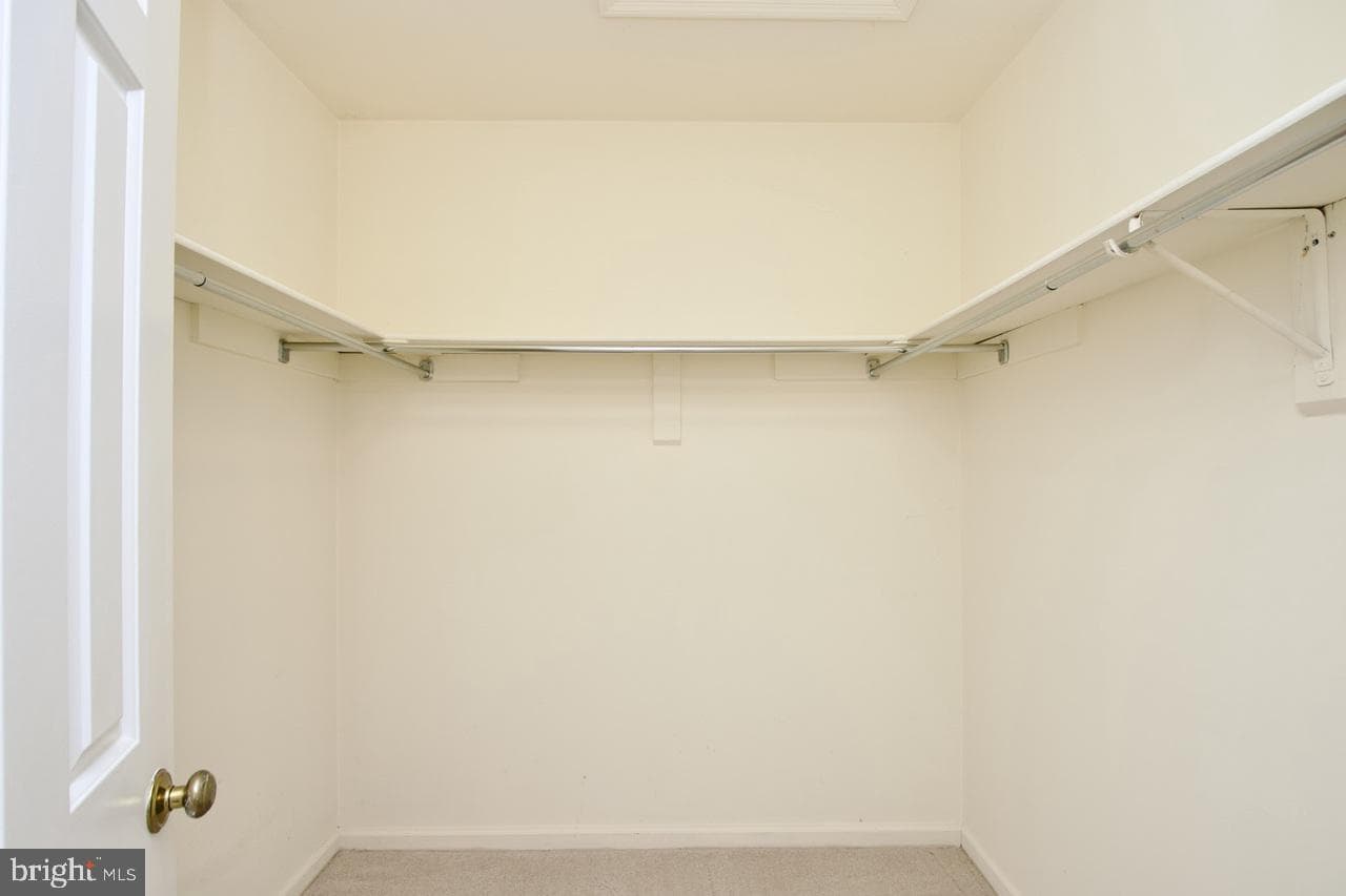 10174 Red Spruce Road photo 32