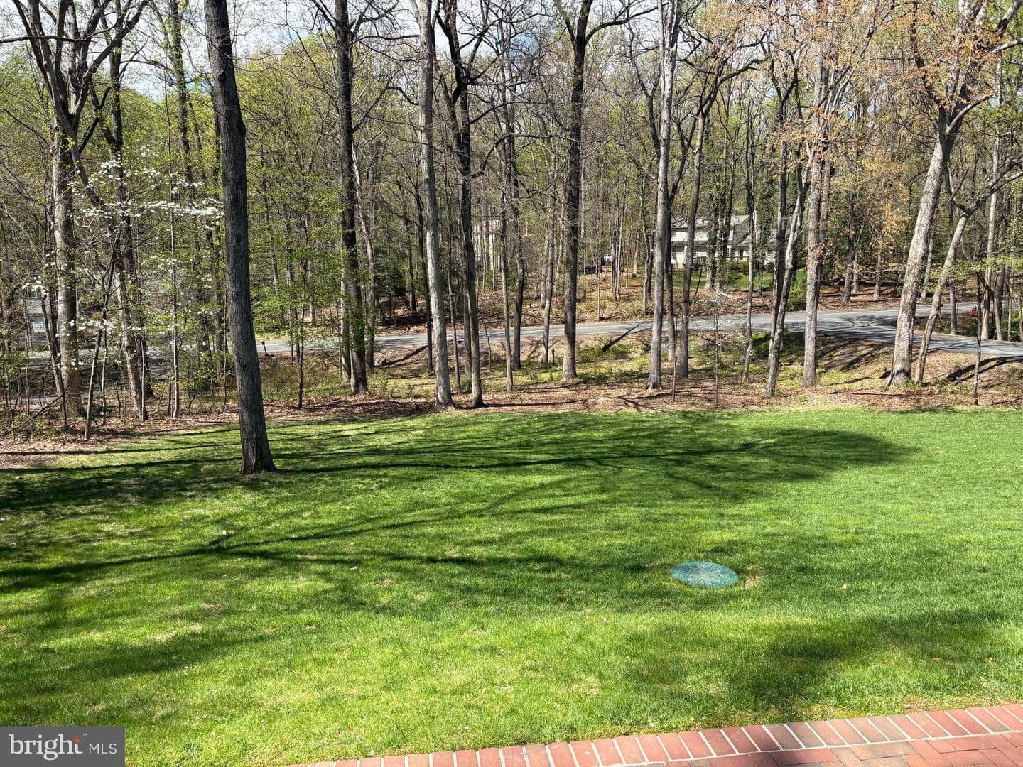 2623 Steeplechase Drive photo 55