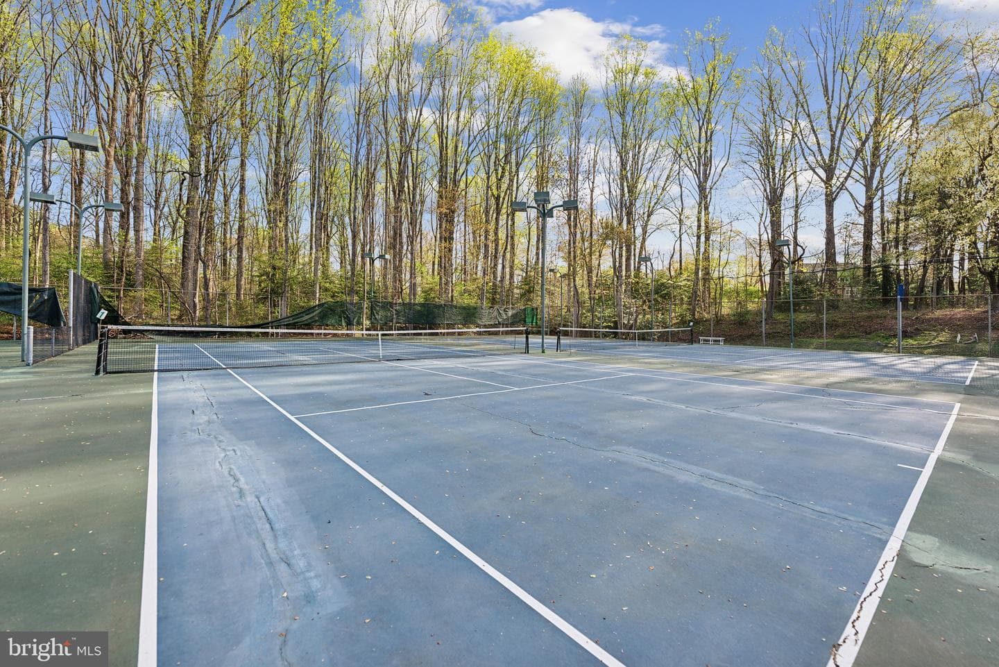 2623 Steeplechase Drive photo 69
