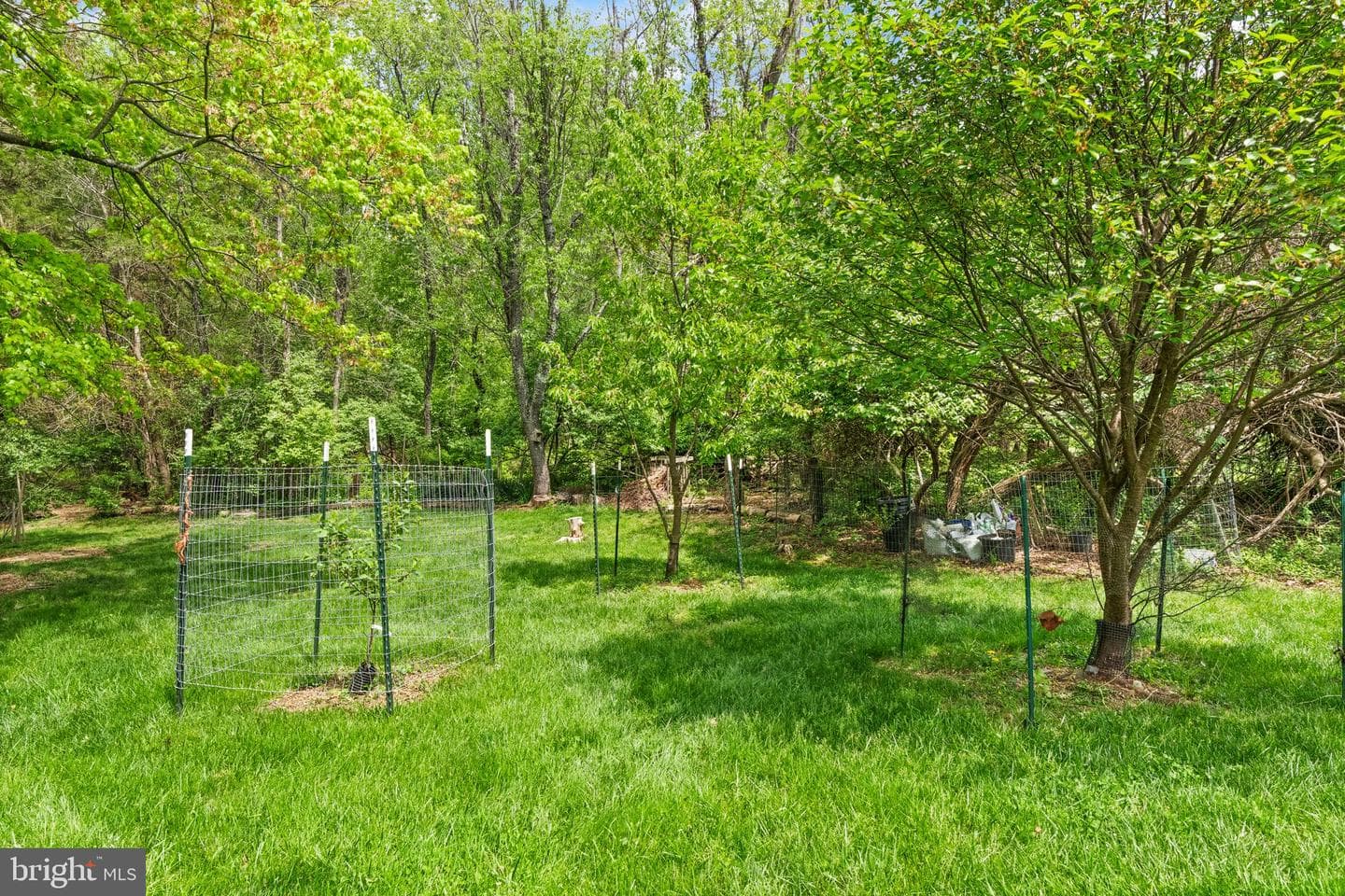 1031 Cup Leaf Holly Court photo 50