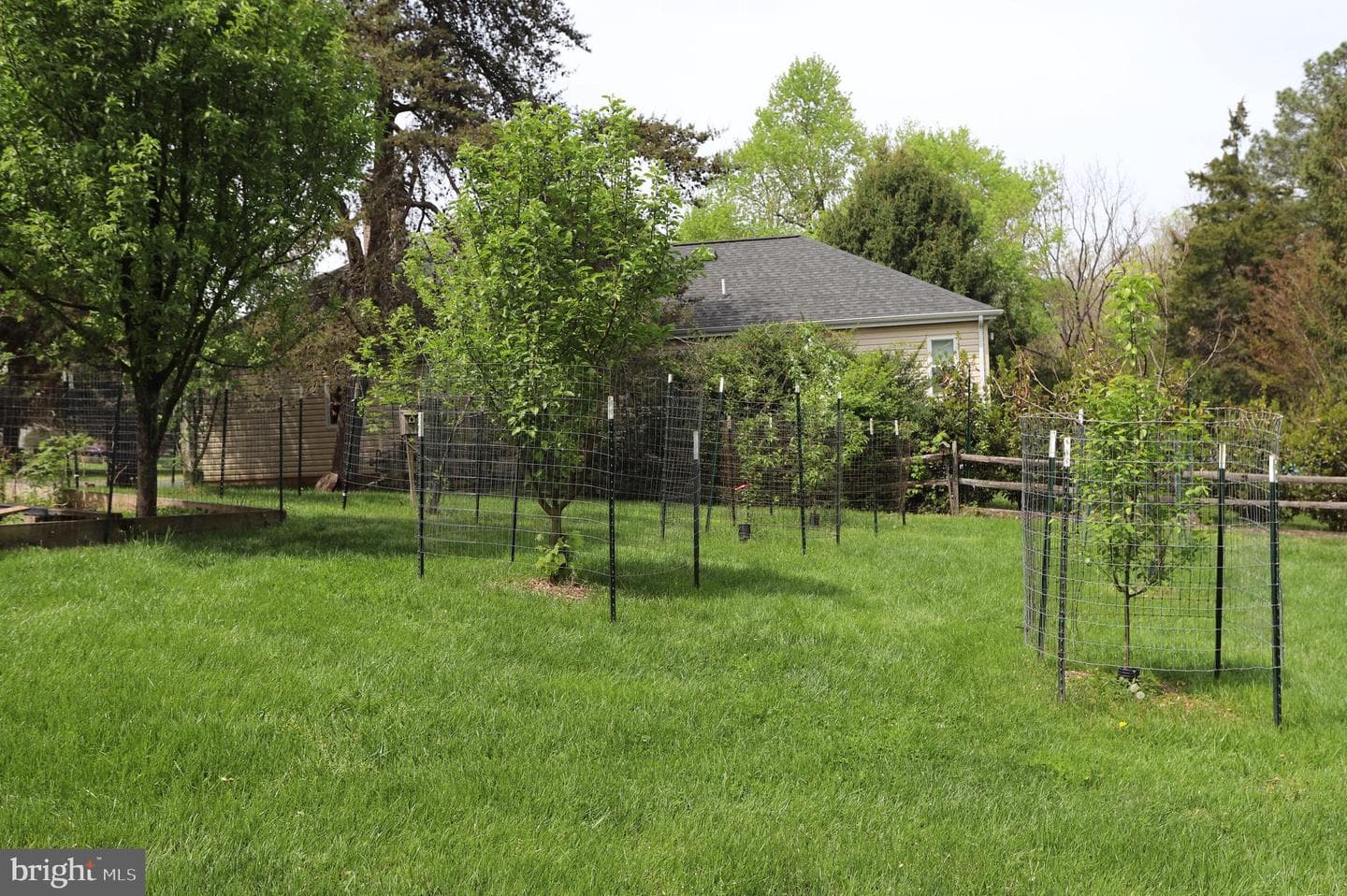 1031 Cup Leaf Holly Court photo 57