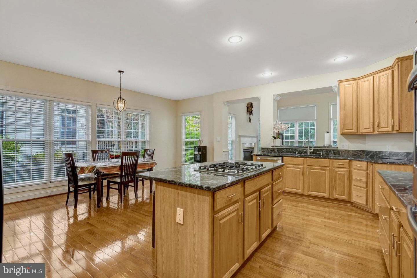 14044 Eagle Chase Circle photo 74
