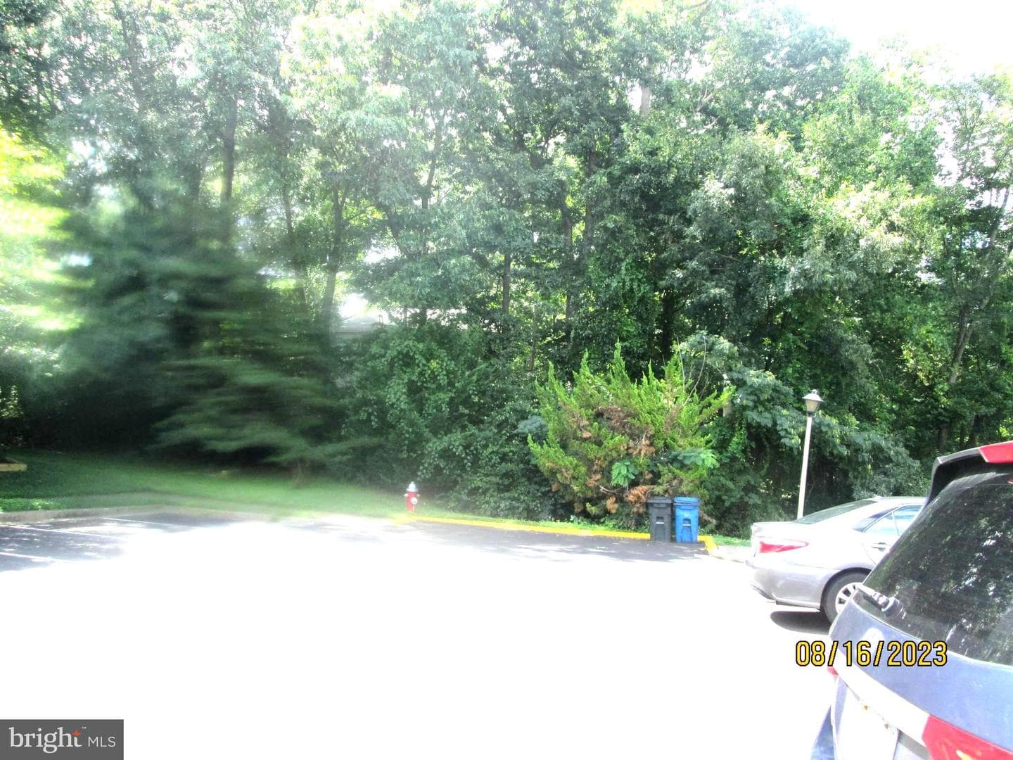 6480 Rockshire Street photo 23