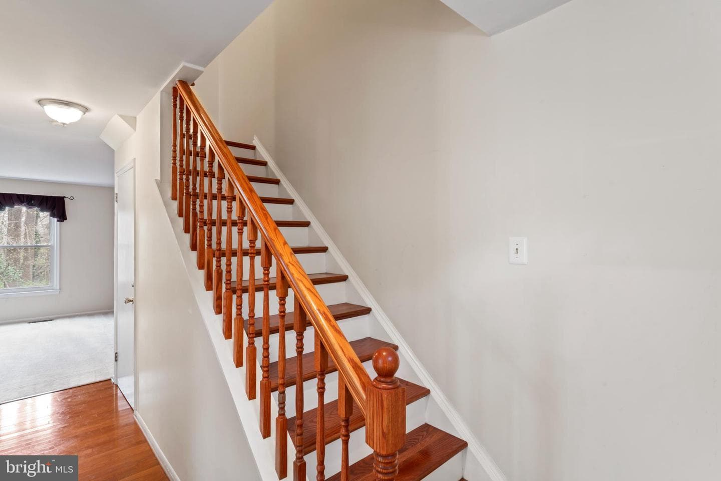 9920 Kingsbridge Drive photo 3