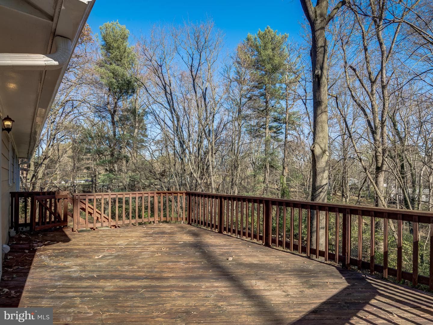 10814 Oldfield Drive photo 63