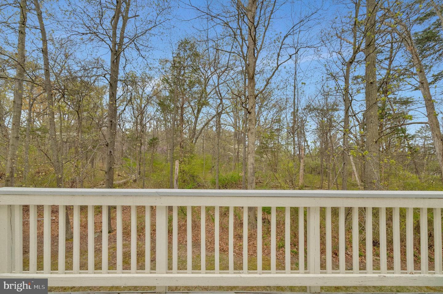 13691 Saint Johns Wood Place photo 43