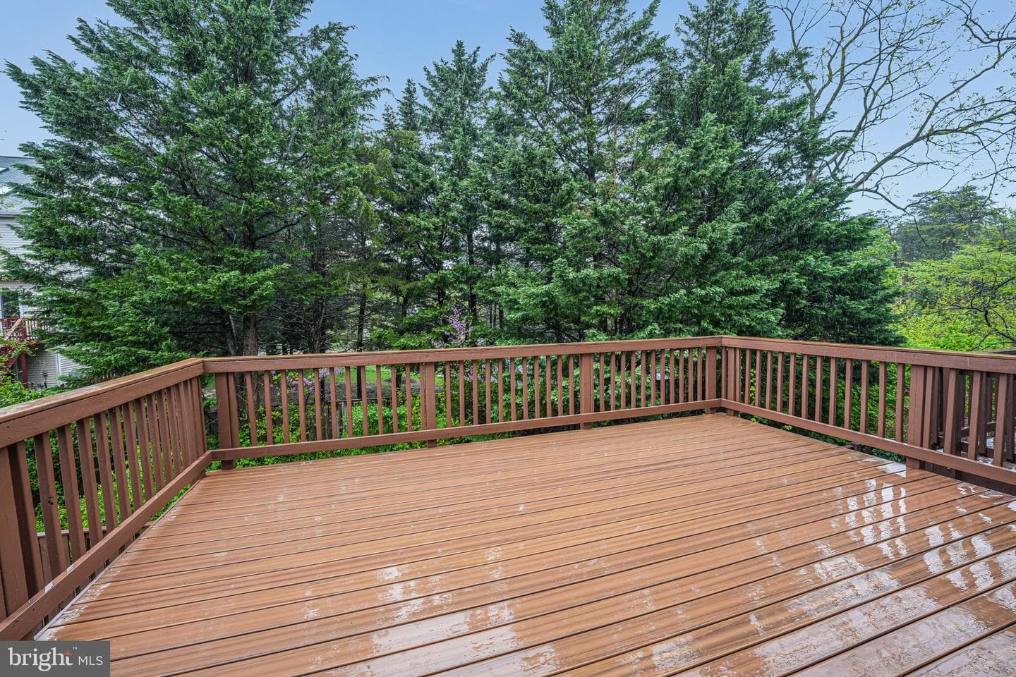7017 Chesley Search Way photo 15
