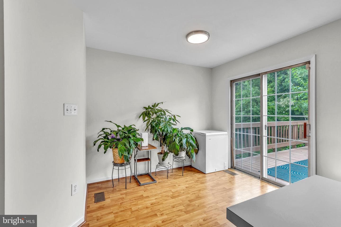 14556 Woodgate Manor Place photo 10