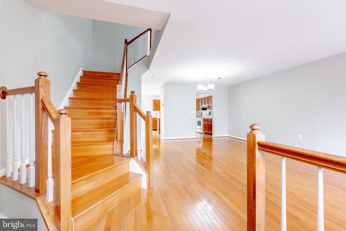 14556 Woodgate Manor Place photo 2