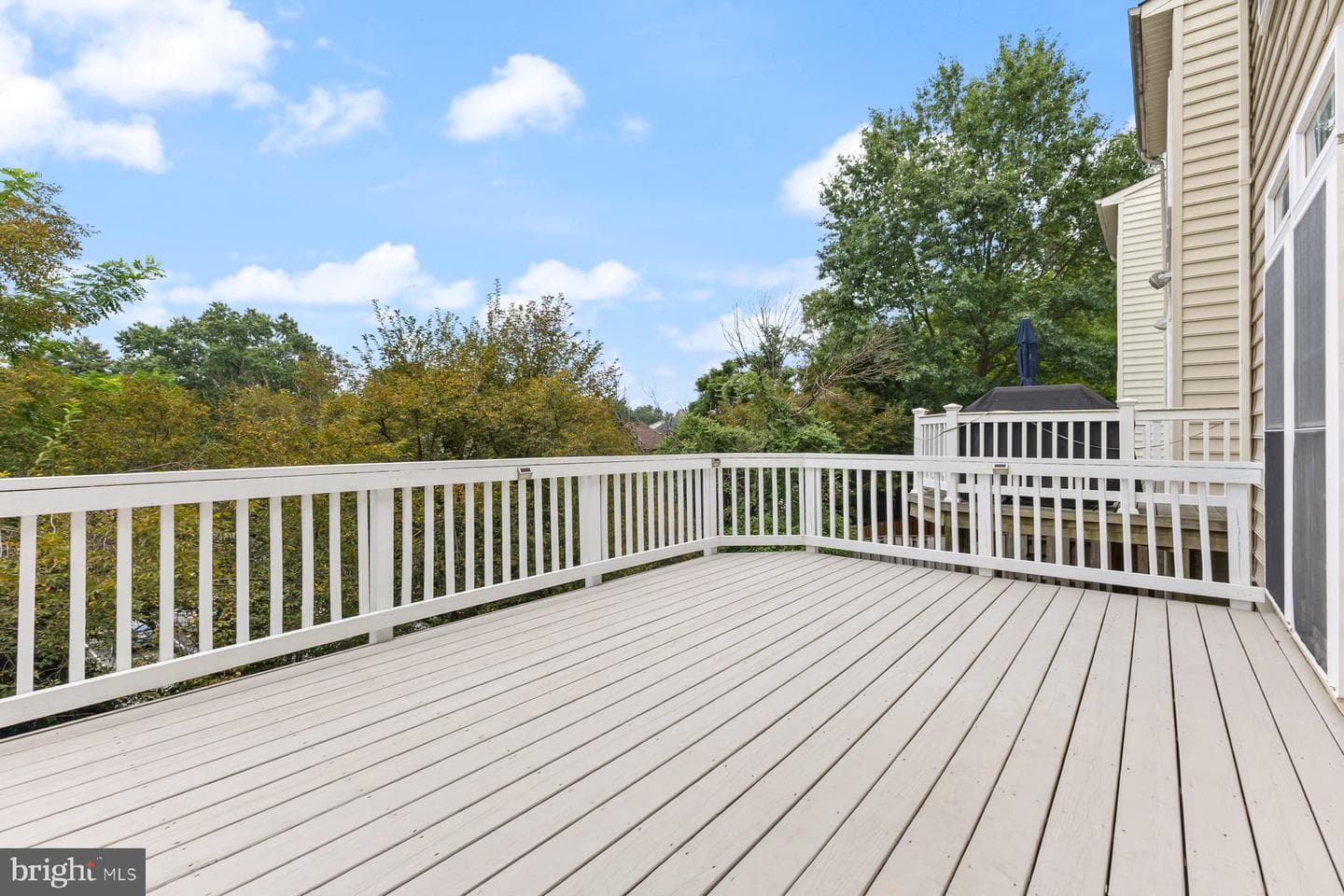 8004 Samuel Wallis Street photo 12