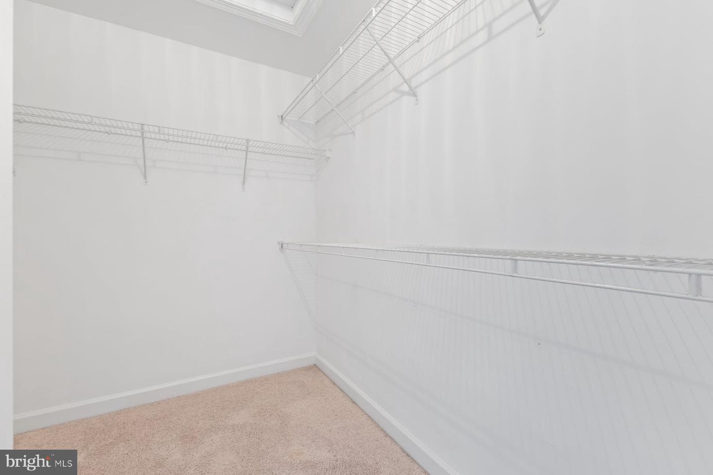 8004 Samuel Wallis Street photo 19