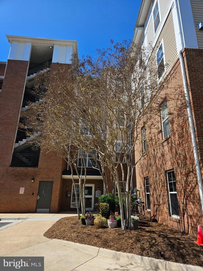 3810 Lightfoot Street #302 photo 4